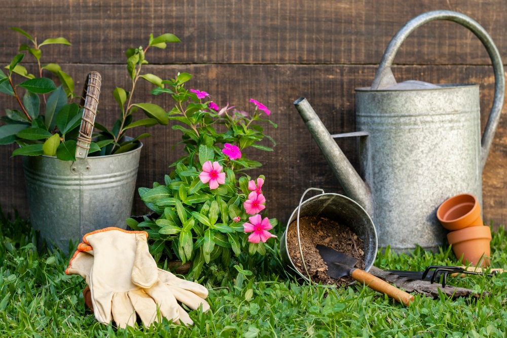 Welche drei Pflanzen machen den Garten kaputt?
