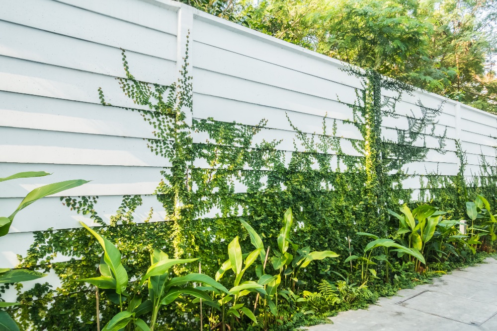 Wie kann ich meinen Garten blickdicht machen?