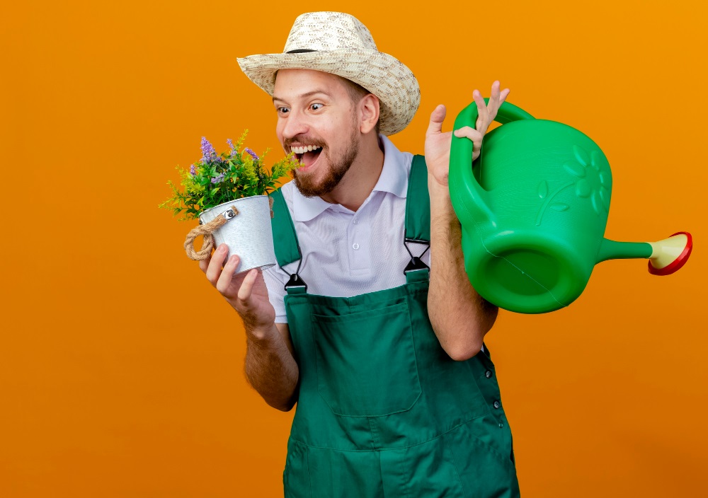 Wie viel Geld sollte man für einen Garten einplanen?